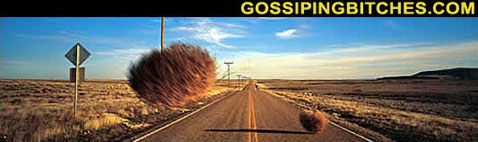 GossipingBitches.com